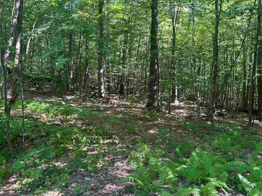 8 Pine Acers Lane, Townshend, VT 05359 - #3