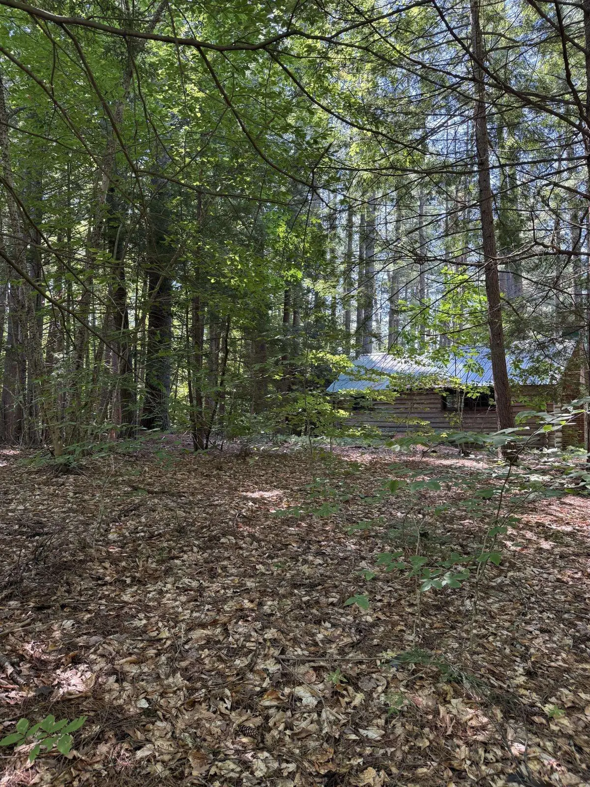 000 Route 175, Holderness, NH 03245 - #1