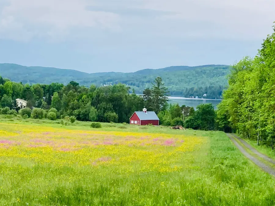 699 Lake Shore Road, Greensboro, VT 05841 - #2