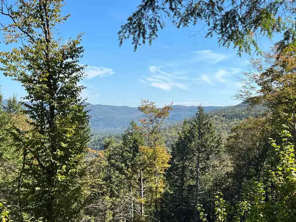 VT Route 100 South, Jamaica, VT 05343