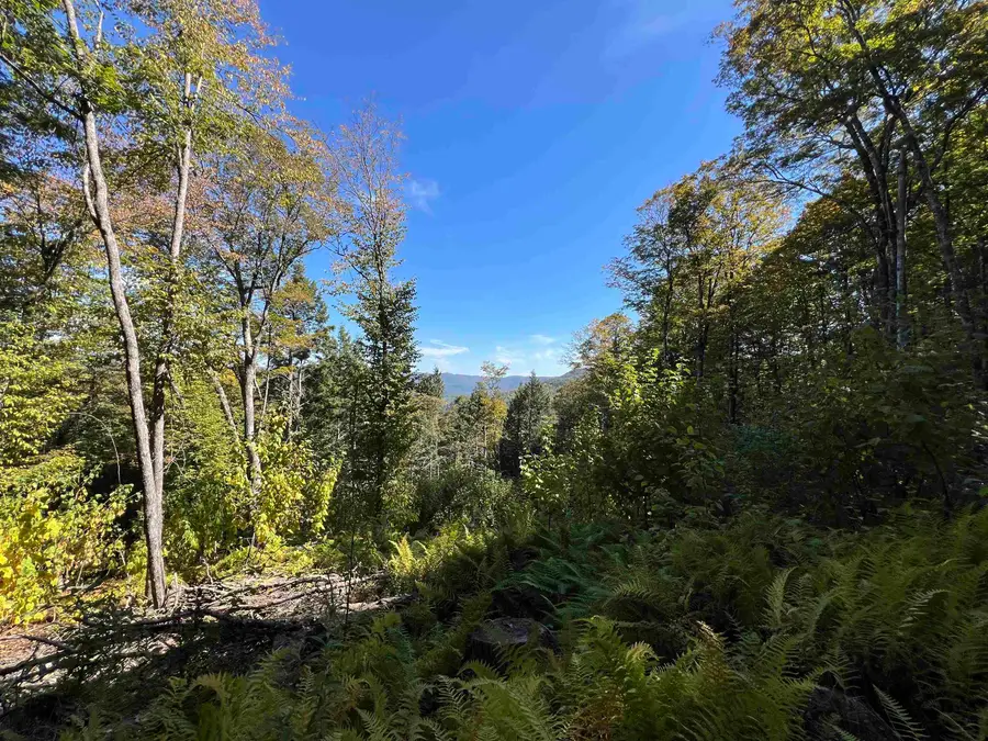 VT Route 100 South, Jamaica, VT 05343 - #2