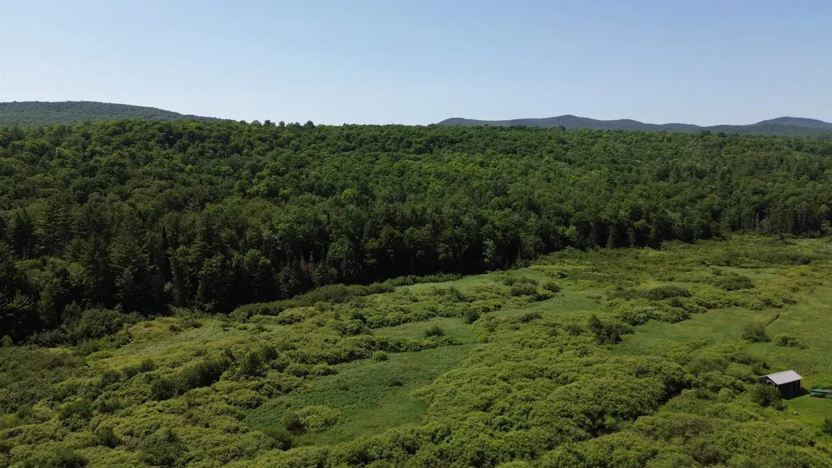 Lot 0 Roxbury Road, Roxbury, VT 05669 - #1