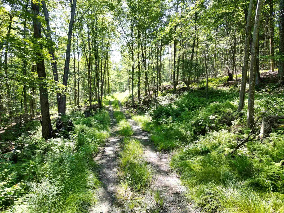 00 Dover Road #8, Williamsville, VT 05351 - #1