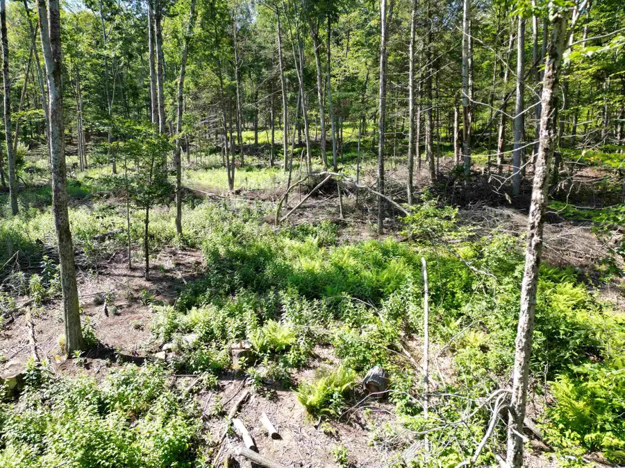 00 Dover Road #8, Williamsville, VT 05351 - #2