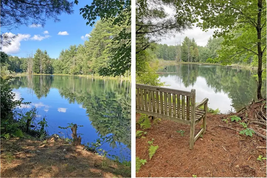25 Villager Road, Chester, NH 03036 - #3