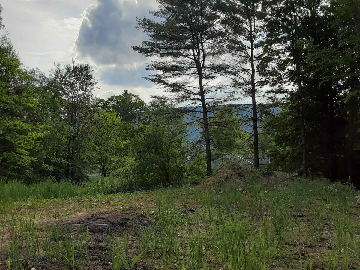 0 Forest Dale Road, Brandon, VT 05733 - #1