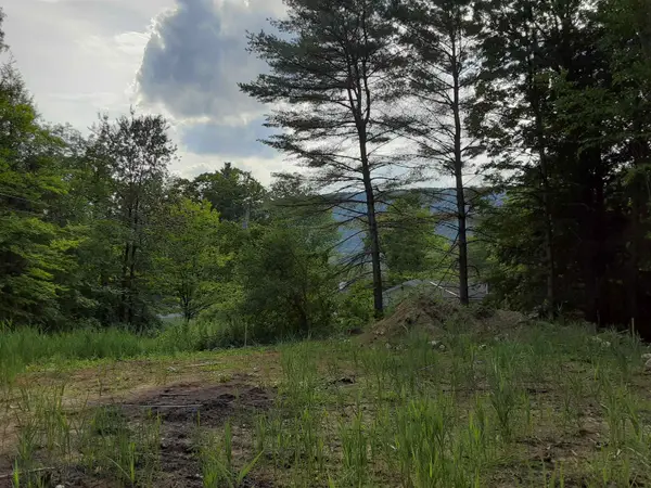 0 Forest Dale Road, Brandon, VT 05733