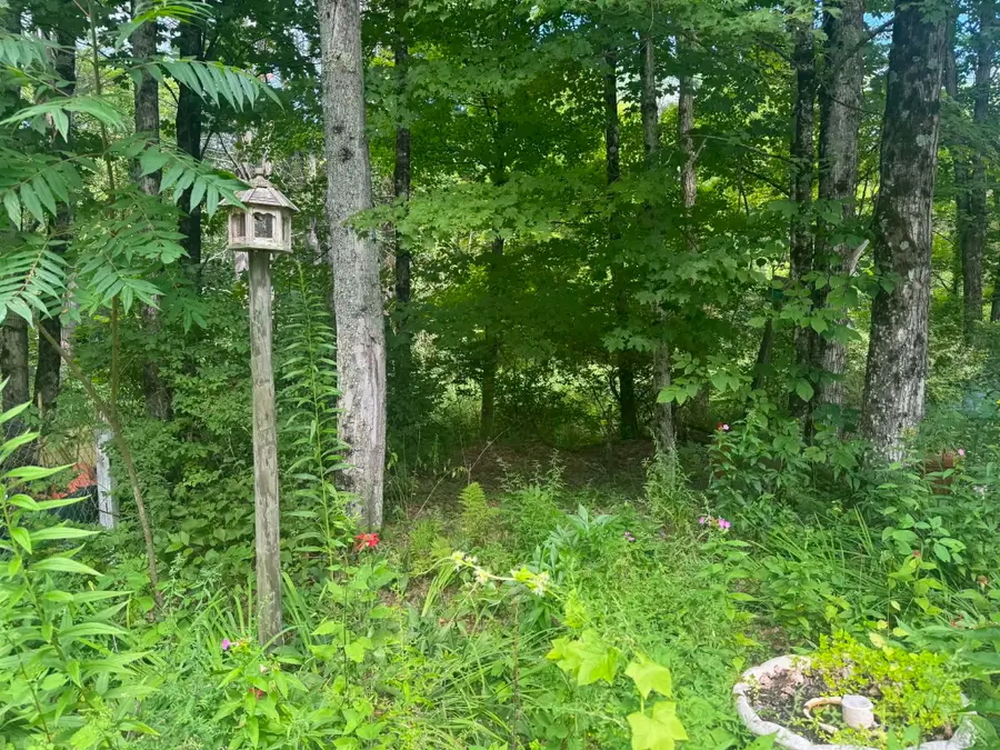 191 River Street, Poultney, VT 05764 - #3