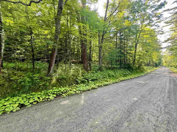 000 Old Man Mountain Road #Lot  6 (on Plan of Land for ADM Properties Inc), St. Johnsbury, VT 05819
