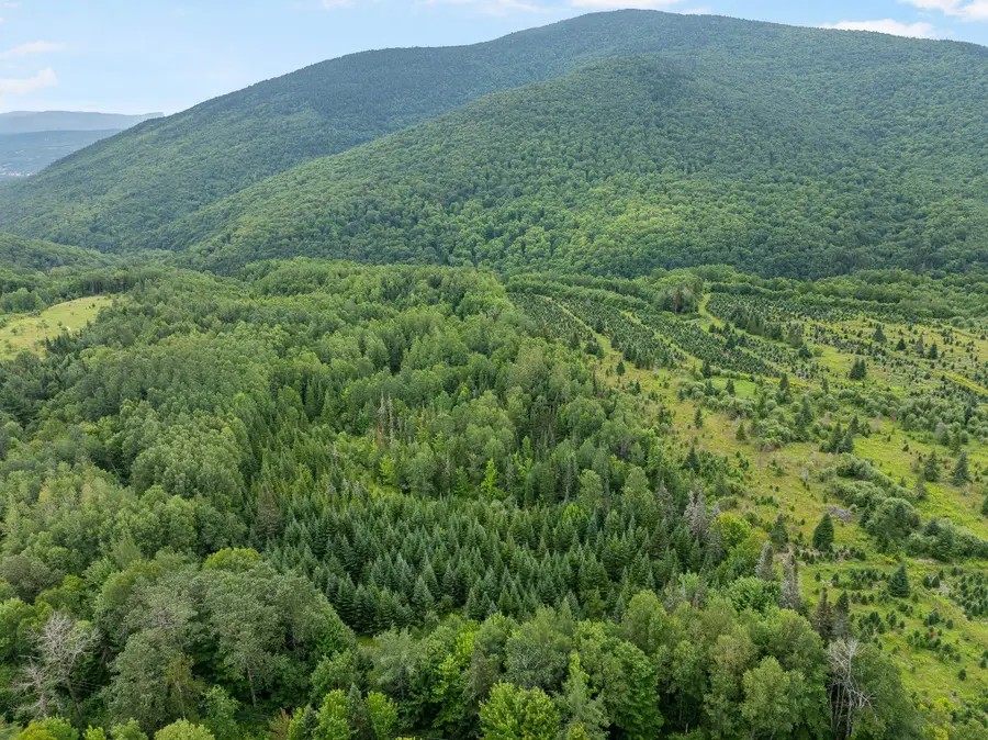 - Todd Hill Road, Lemington, VT 05903 - #2