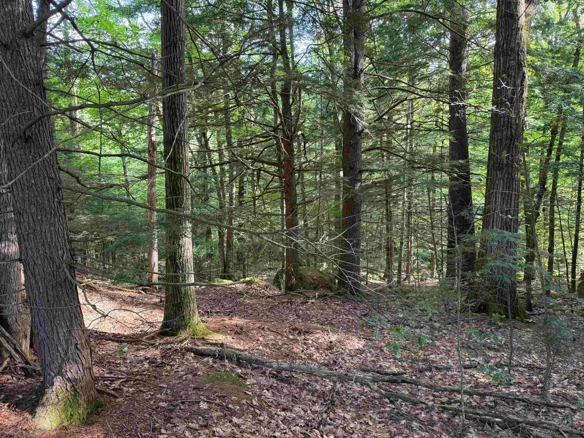 14-189 Seminole Road, Hillsborough, NH 03244 - #1