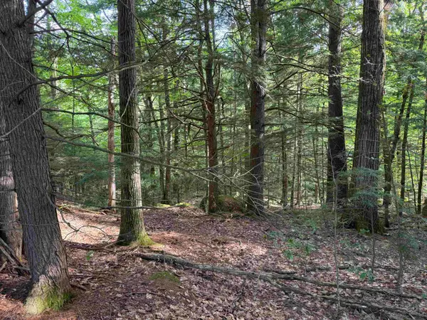 14-189 Seminole Road, Hillsborough, NH 03244