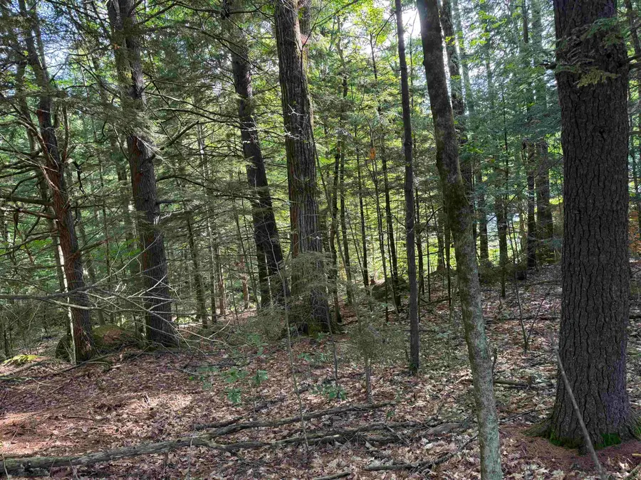 14-189 Seminole Road, Hillsborough, NH 03244 - #2