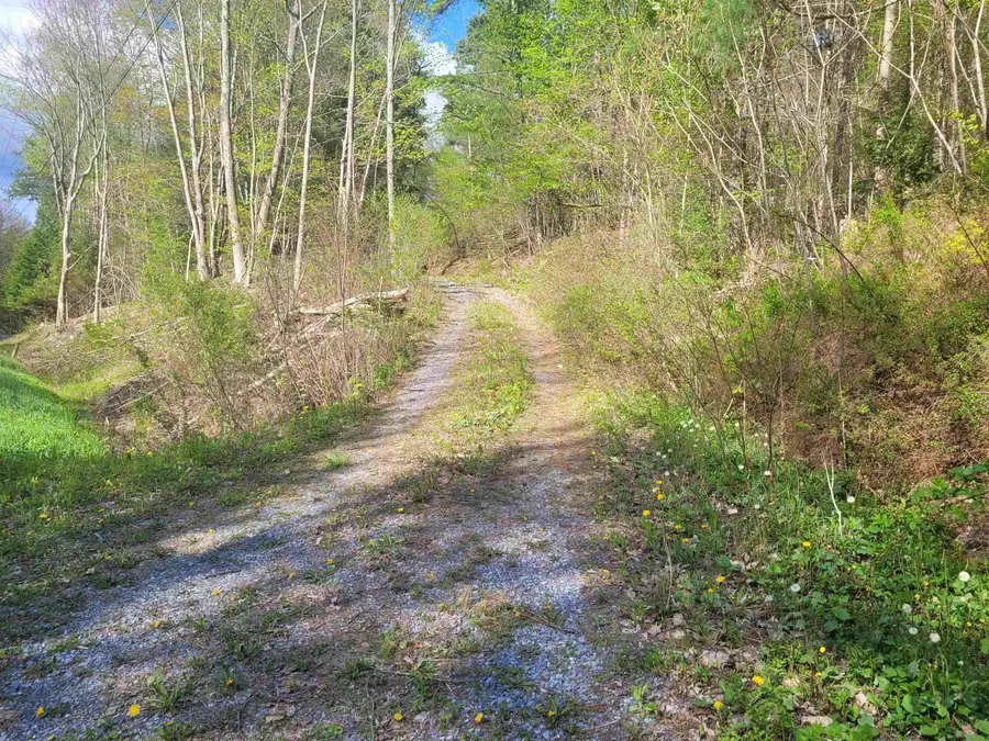 59 Egg Street, Pawlet, VT 05775 - #3
