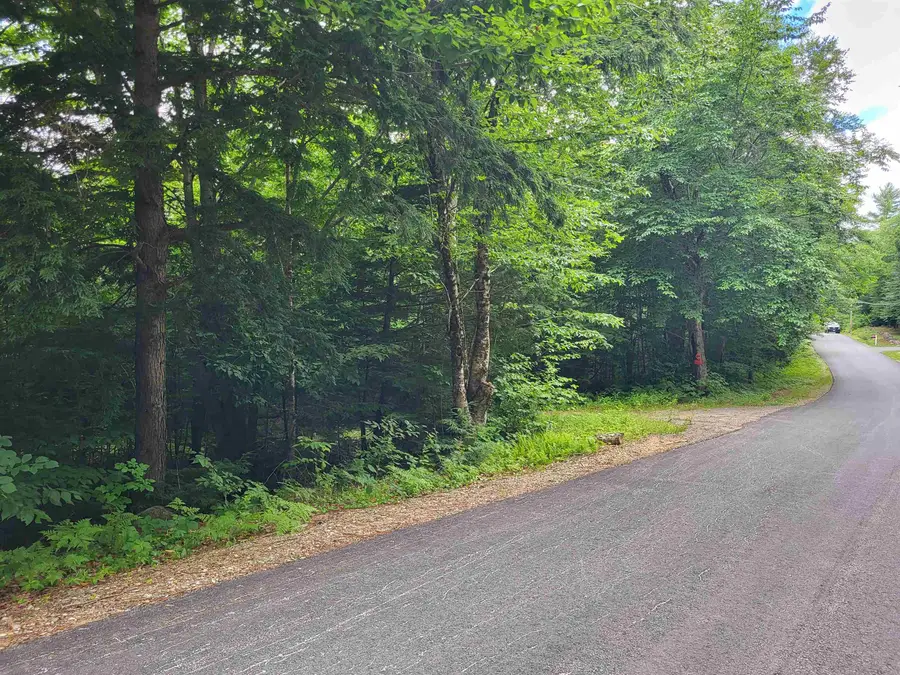 Lot 2 Bear Mountain Road, Hebron, NH 03241 - #2