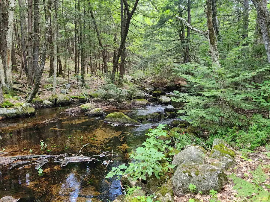 1915 NH Route 16, Albany, NH 03818 - #3