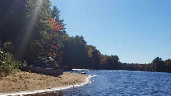 Map 101 Lot 18 Berry River Road, Barrington, NH 03825