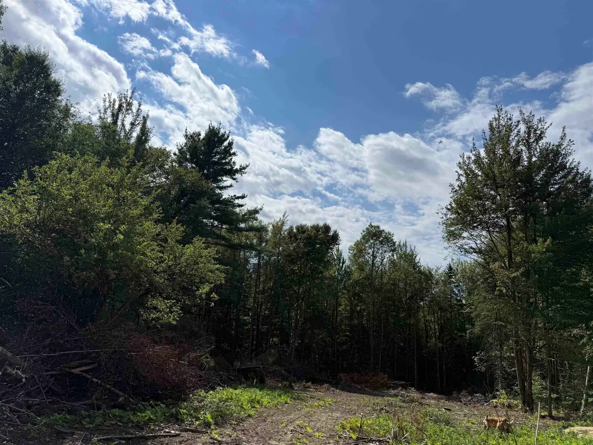 1103 North Road, Eden, VT 05652 - #1