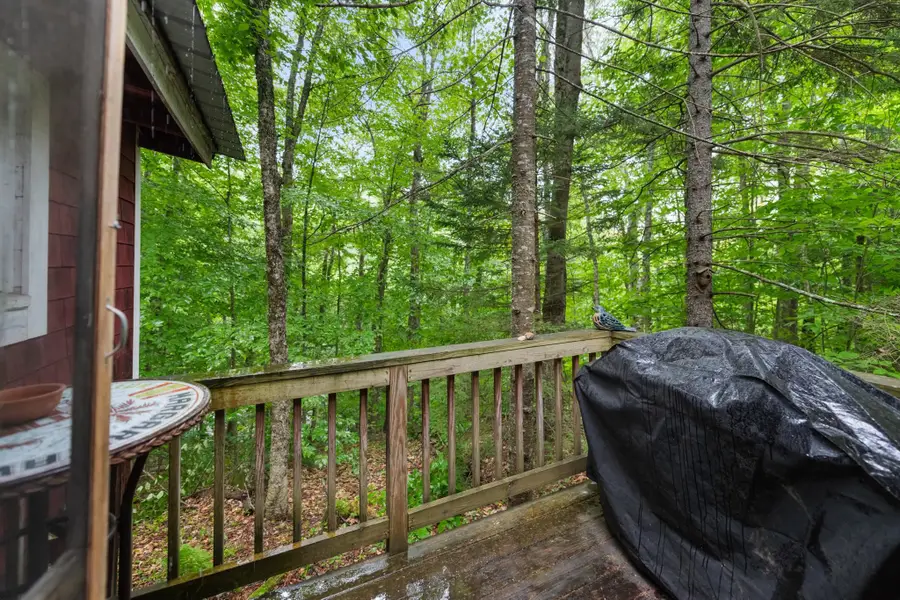1662 Stinson Lake Road, Rumney, NH 03266 - #2