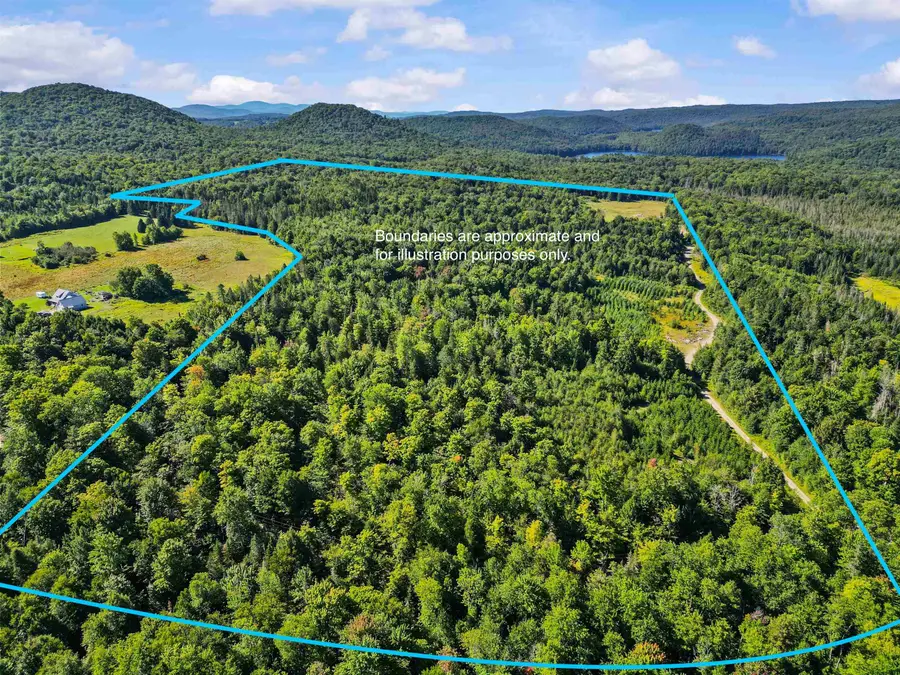 2 Dusty Swamp Road, Hardwick, VT 05843 - #3