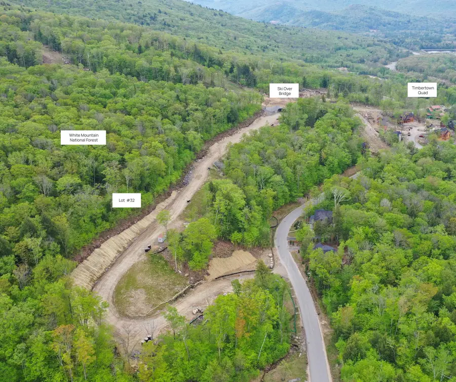49 Alpine Drive, Lincoln, NH 03251 - #3