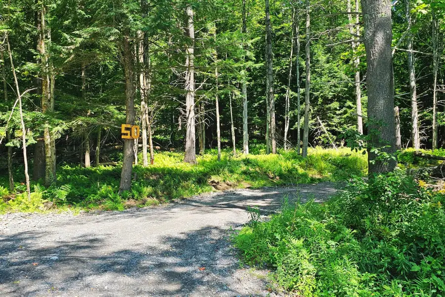 50 North Ridge Road, Ludlow, VT 05149 - #2