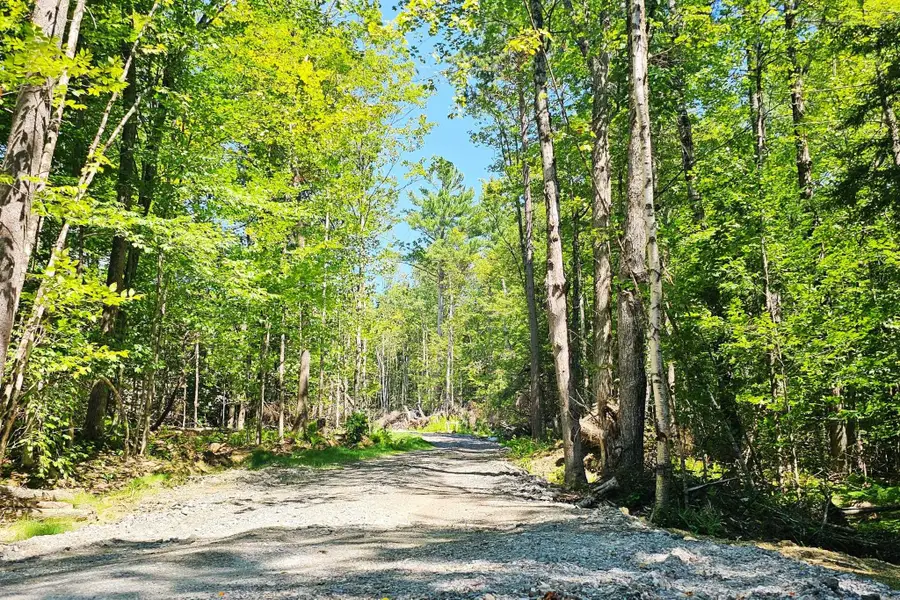 50 North Ridge Road, Ludlow, VT 05149 - #3