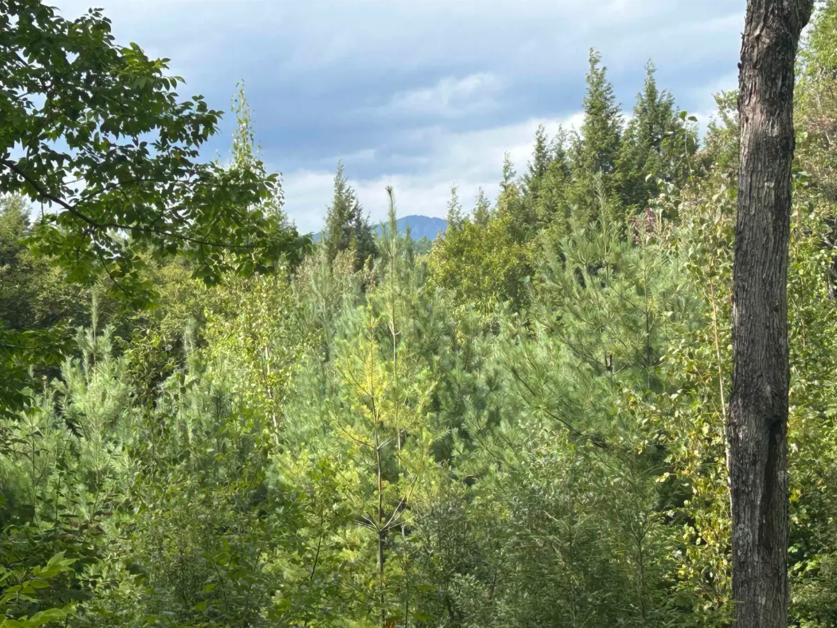 0 Stratton Gardens Road #10a, 10b,, Winhall, VT 05340 - #1
