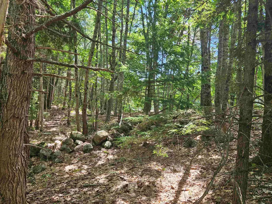 Map 257-Lot 32 Route 11, New Durham, NH 03855 - #3