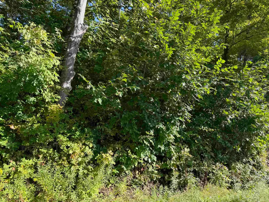 163 Murphy Drive, Hubbardton, VT 05735 - #3