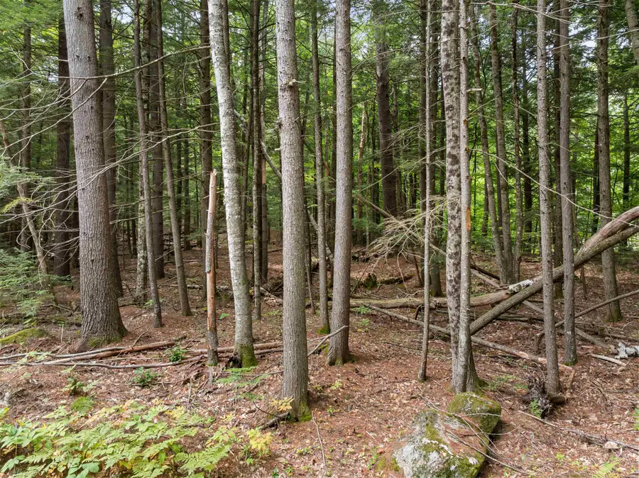 30 D Forest Pond Road, New Hampton, NH 03256 - #3