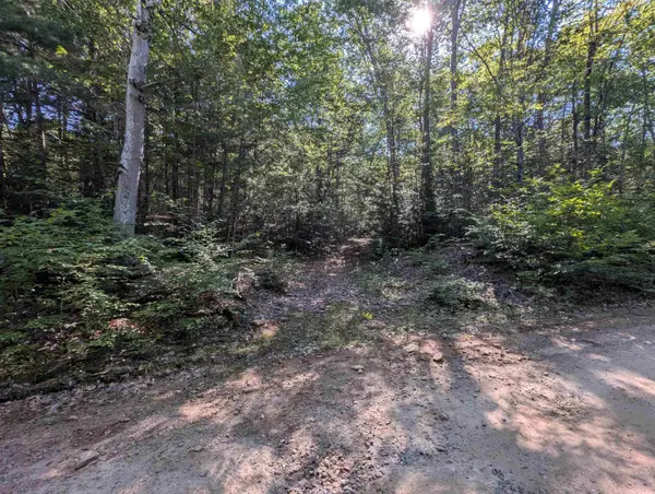 Map 41 Lot 25 Jewett Road, Weare, NH 03281