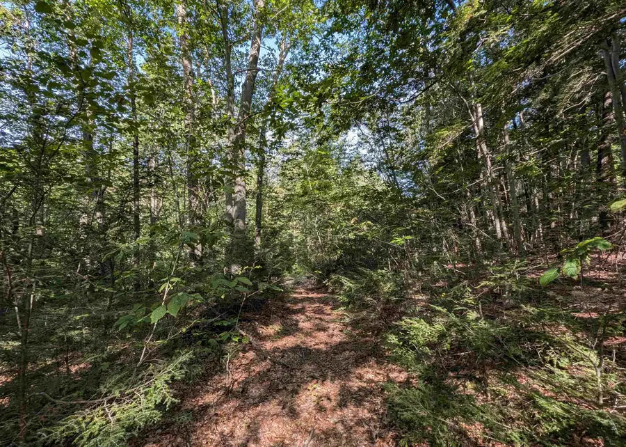 Map 41 Lot 25 Jewett Road, Weare, NH 03281 - #2