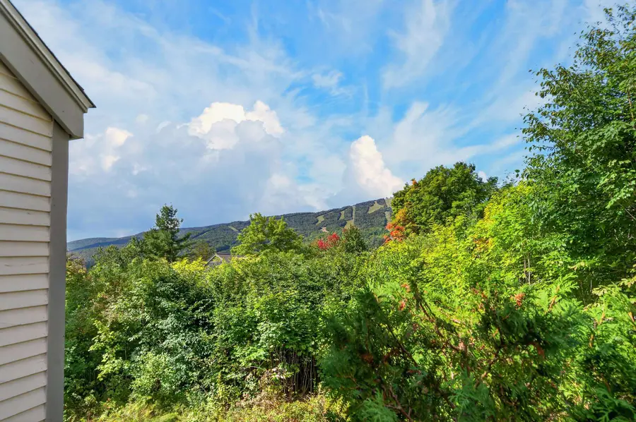 82C Greenspring Road, Dover, VT 05356 - #3