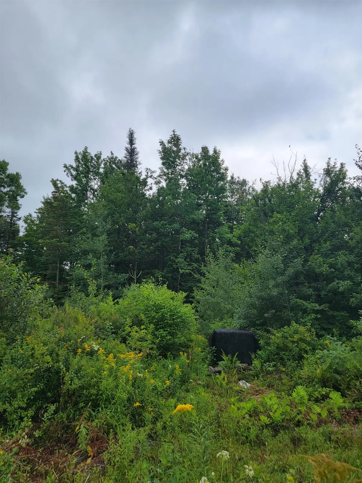 1530 Somerset Road, Somerset, VT 05363 - #1