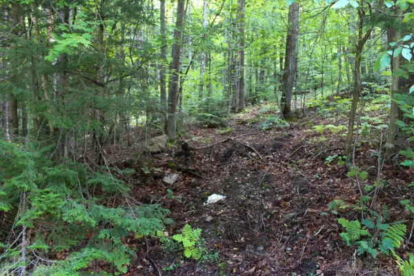 00 Hillcrest Road, Andover, VT 05143