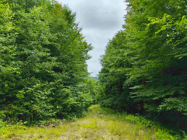 Lot #5 Cilley Brook Lane, Hebron, NH 03241
