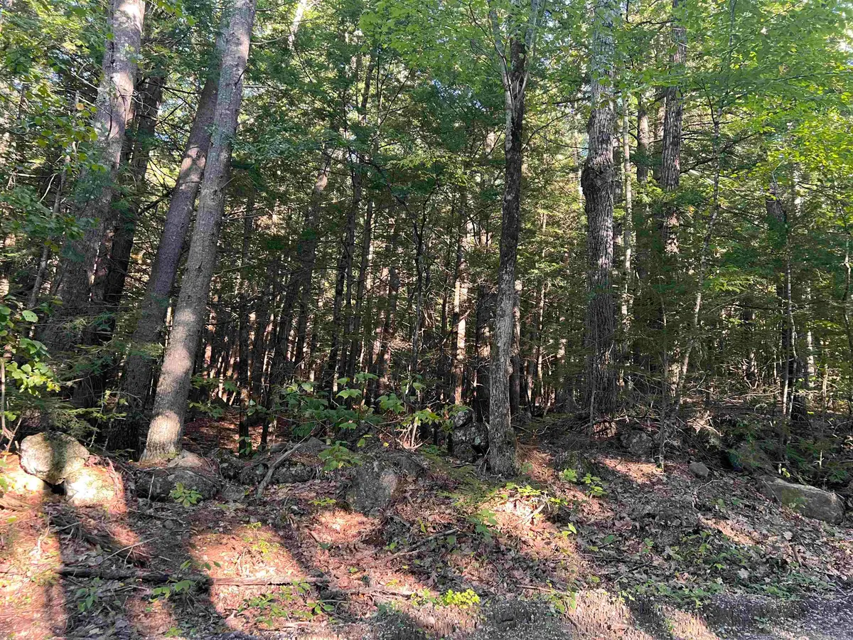 000 Bog Road, Hillsborough, NH 03244 - #1