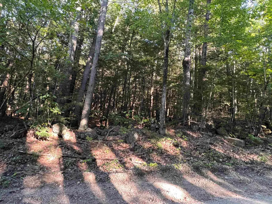 000 Bog Road, Hillsborough, NH 03244 - #3