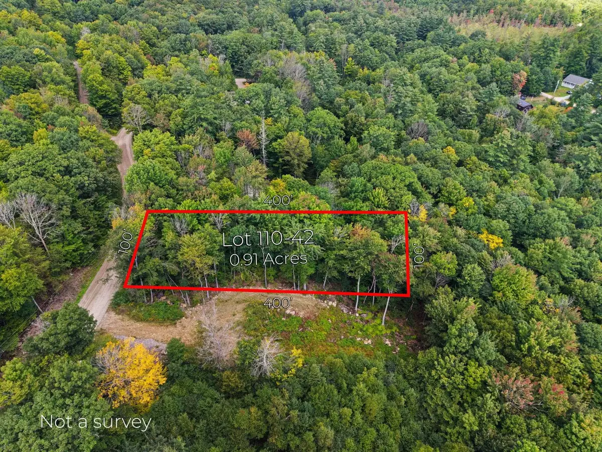 110 42 Kings Highway, Stoddard, NH 03464 - #1