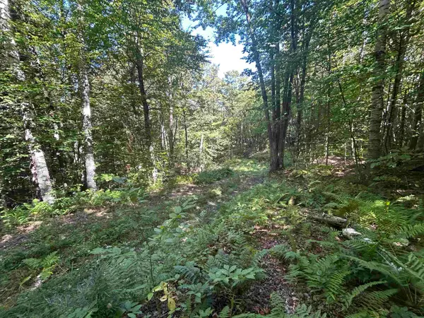 0 West Hill Road, Jamaica, VT 05343