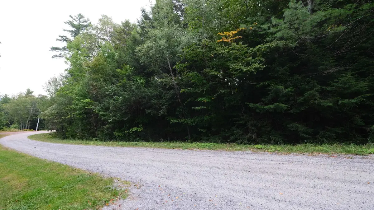 0 Bear Ridge Road, Ludlow, VT 05149 - #1