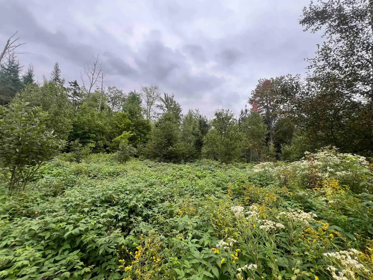 0 Red Schoolhouse Road, Wheelock, VT 05851 - #1