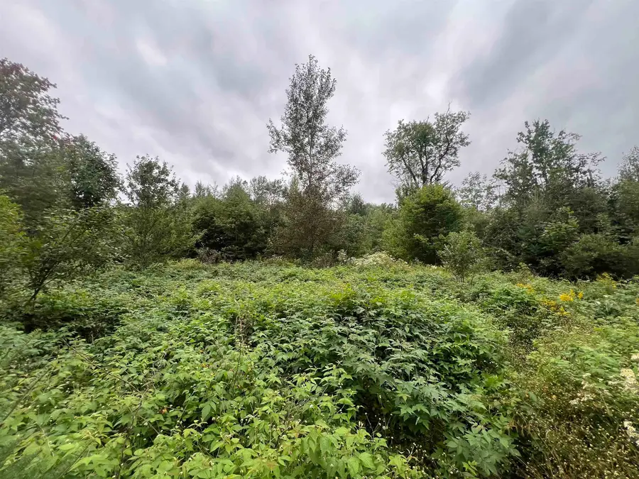 0 Red Schoolhouse Road, Wheelock, VT 05851 - #2