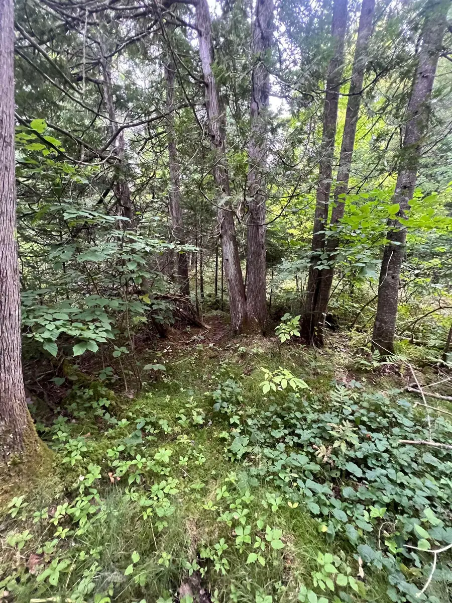 0 Red Schoolhouse Road, Wheelock, VT 05851 - #3