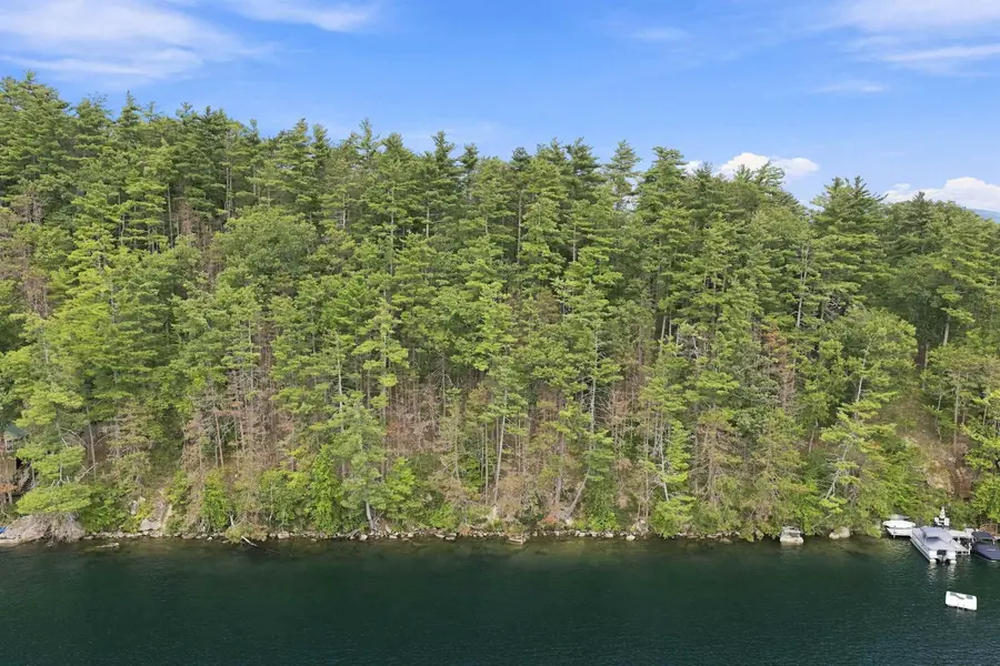lot 50 North Shore Road, New Durham, NH 03855 - #3