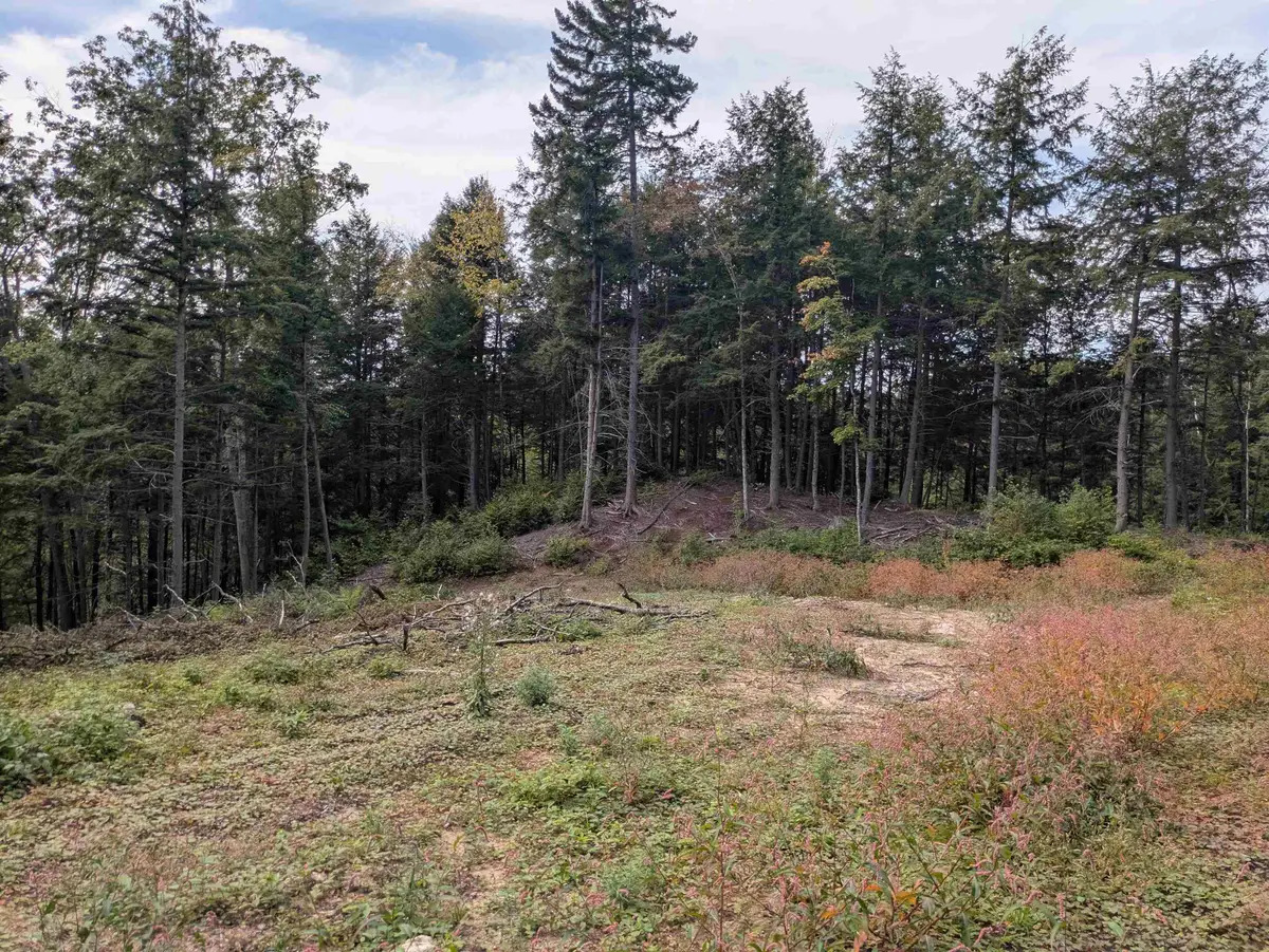 Gilsum Road, Sullivan, NH 03445 - #1