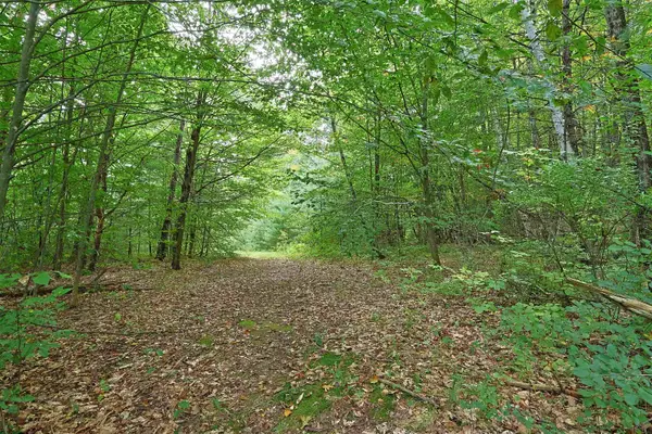 0 Wright Reservoir Road, Hartford, VT 05001