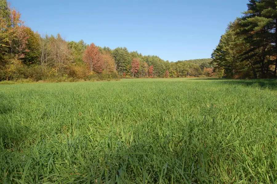 111 Browns Way, Henniker, NH 03242 - #2