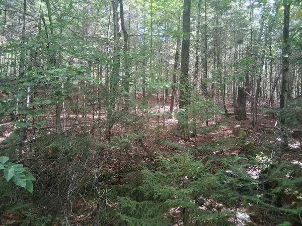 14-257 Garfield Road #N-6 Sec2, Washington, NH 03280